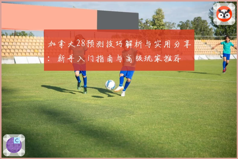加拿大28预测技巧解析与实用分享：新手入门指南与高级玩家推荐
