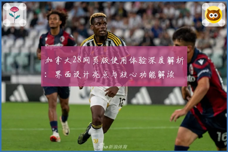 加拿大28网页版使用体验深度解析：界面设计亮点与核心功能解读
