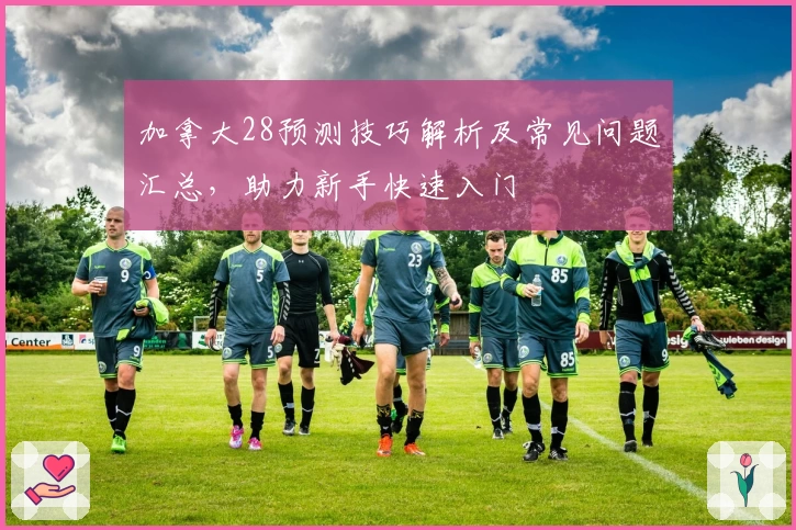 加拿大28预测技巧解析及常见问题汇总，助力新手快速入门