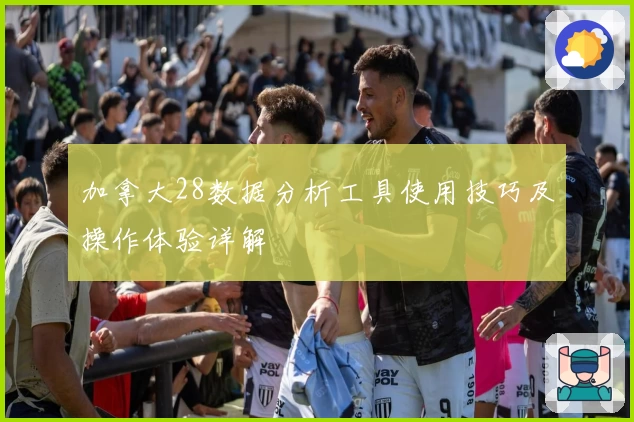 加拿大28数据分析工具使用技巧及操作体验详解