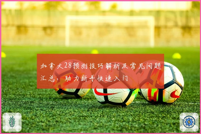 加拿大28预测技巧解析及常见问题汇总，助力新手快速入门