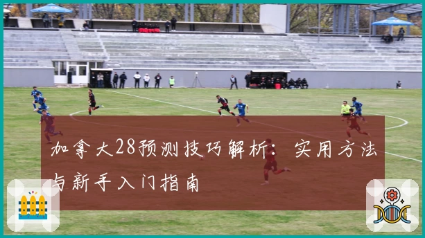 加拿大28预测技巧解析：实用方法与新手入门指南