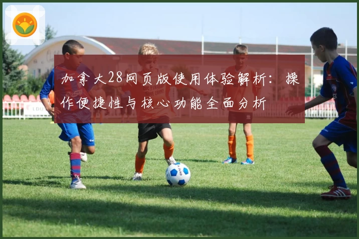 加拿大28网页版使用体验解析：操作便捷性与核心功能全面分析