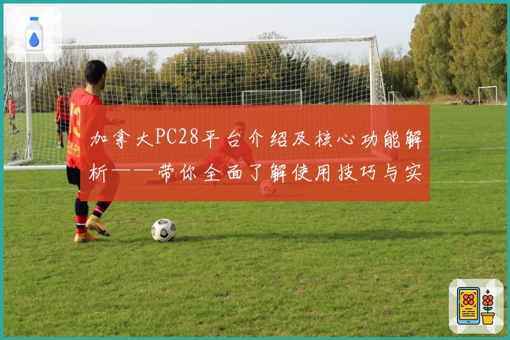 加拿大PC28平台介绍及核心功能解析——带你全面了解使用技巧与实用场景